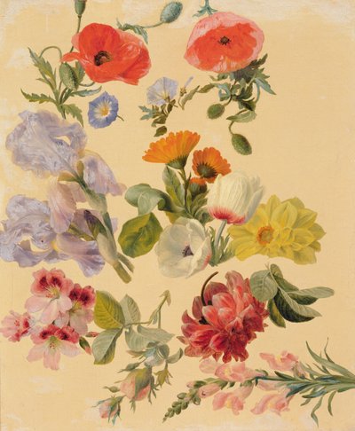 Studies van zomerbloemen door Jacques Laurent Agasse